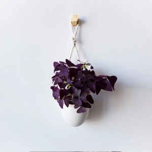 Photo 16-02-2022, 15 04 41.jpg